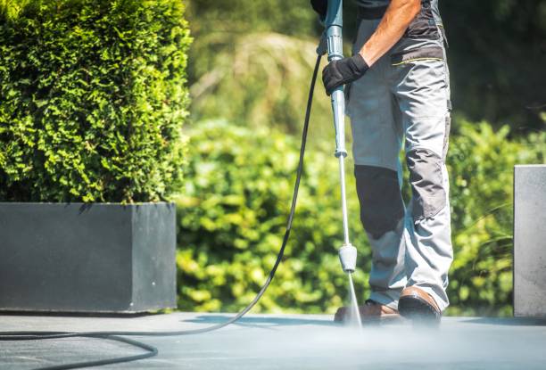 Best Animal Enclosure Cleaning  in Honaunau Napoopoo, HI